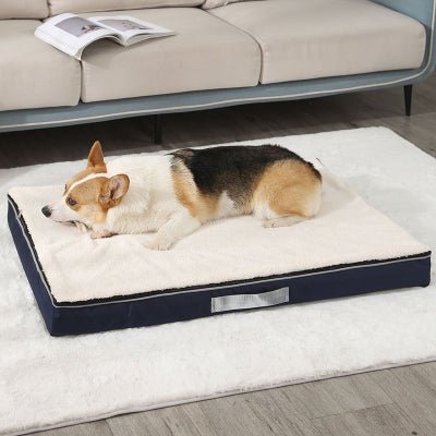 Lit pour chien - lit chien - Sérénité | Mousse Confort - Vivre avec son chien