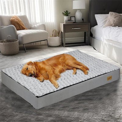 Lit pour chien - Atlas - Vivre avec son chien
