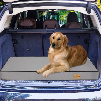 Lit pour chien - Atlas - Vivre avec son chien