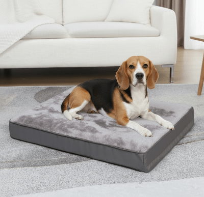 lit chien - Lit pour chien - Atlas | Confortable et lavable - Vivre avec son chien