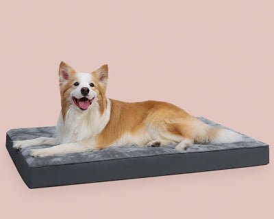 lit chien - Lit pour chien - Atlas | Confortable et lavable - Vivre avec son chien