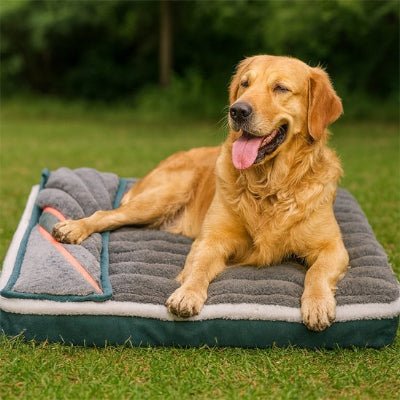 Lit pour chien - Lit pour chien - Cosy Confort | Douceur Alvéolée - Vivre avec son chien