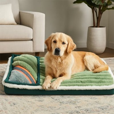 Lit pour chien - Lit pour chien - Cosy Confort | Douceur Alvéolée - Vivre avec son chien