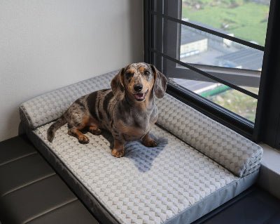 lit chien - Lit pour chien - Karoo | Confort quotidien - Vivre avec son chien