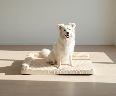lit chien - Lit pour chien - Karoo | Confort quotidien - Vivre avec son chien