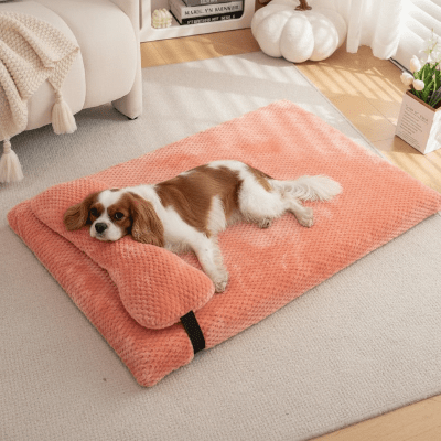 Lit pour chien - Lit pour chien - Namib | Avec oreiller intégré - Vivre avec son chien