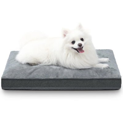 Lit pour chien - Rêverie - Vivre avec son chien
