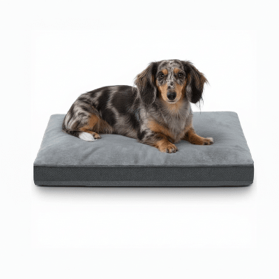 lit chien - Lit pour chien - Rêverie | De belle nuit de sommeil - Vivre avec son chien