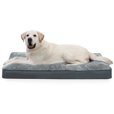 lit pour chien reverie grisngros chien beige