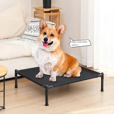 Lit extérieure sur pattes - Lit pour Chien surélevé - AirComfort | Confort respirant - Vivre avec son chien