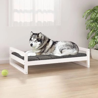 lit pour chien sureleve sahara bois pin blanc chien coucher