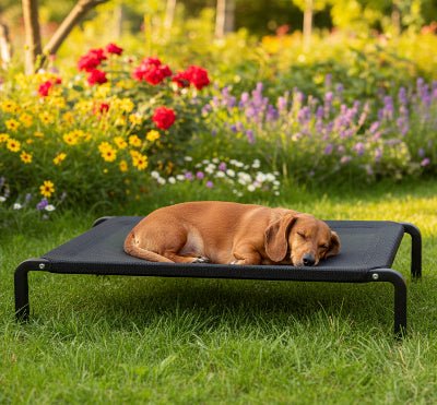 Lit extérieure sur pattes - Lit surélevé chien - Alizé | Lit intérieur / extérieur - Vivre avec son chien