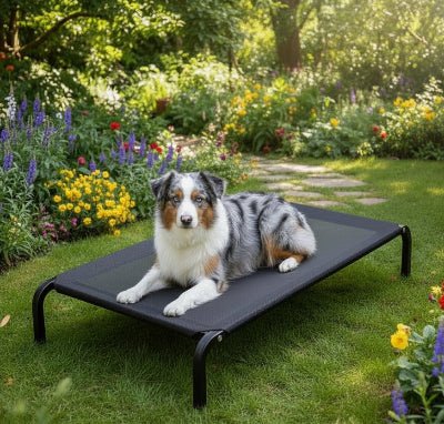 Lit extérieure sur pattes - Lit surélevé chien - Alizé | Lit intérieur / extérieur - Vivre avec son chien