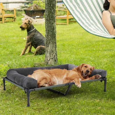 lit sureleve chien zephyr gris  chien couché gazon