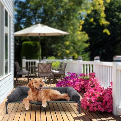 lit sureleve chien zephyr gris chien couche patio