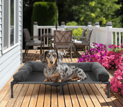 lit chien - lit surélevé chien - Zéphyr | Touche de fraicheur - Vivre avec son chien
