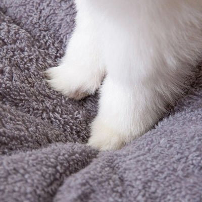 Niche pour chien intérieur - Maison pour chien - Cocon Lune | Confortable et Résistante - Vivre avec son chien