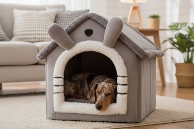Niche pour chien intérieur - Maison pour chien - Nid Polaire | Cocon Compact - Vivre avec son chien