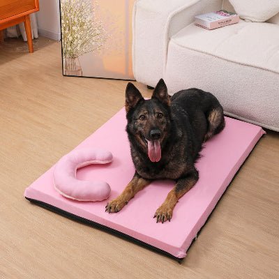 Matelas pour chien - Matelas pour chien - Duo Saison | Housse été hiver - Vivre avec son chien