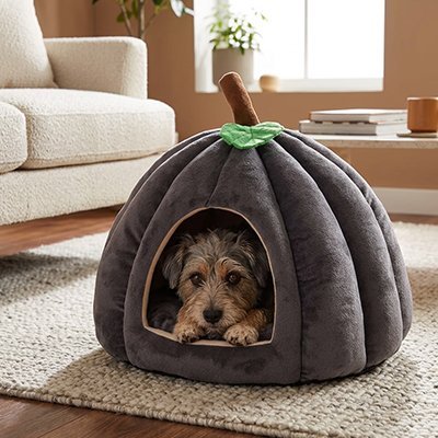 Niche pour chien intérieur - Niche Chien - cocon Citrouille - Vivre avec son chien