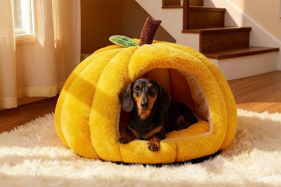Niche pour chien intérieur - Niche chien – Confort Citrouille - Vivre avec son chien