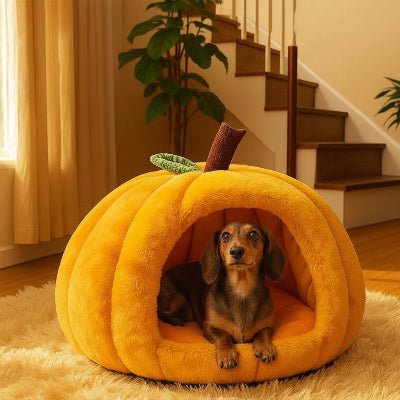 Niche pour chien intérieur - Niche chien – Confort Citrouille - Vivre avec son chien