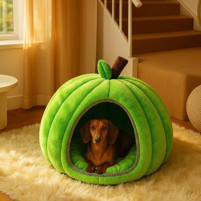 Niche pour chien intérieur - Niche chien – Confort Citrouille - Vivre avec son chien