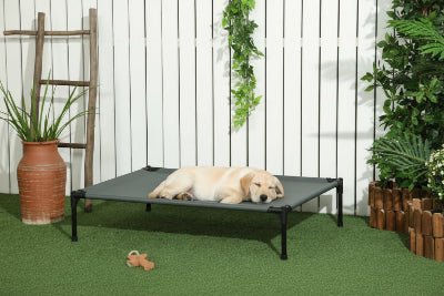 Niche pour chien extérieur - Niche pour chien - Nidara | Surélevée 2 en 1 - Vivre avec son chien
