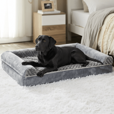 Panier pour chien - Panier chien - Églantine | Cocoon apaisant - Vivre avec son chien