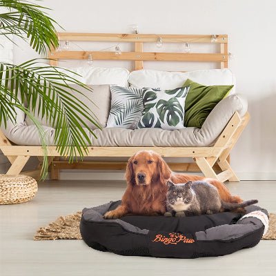 panier chien equinoxe chat chient coucher salon