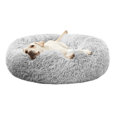 panier chien gris avec gros chien beige coucher