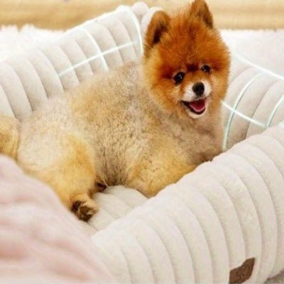 Panier pour chien - Panier Chien - Olso | Confort Durable - Vivre avec son chien