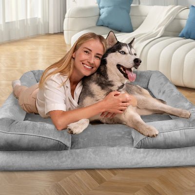 panier chien solstice femme chien coucher panier