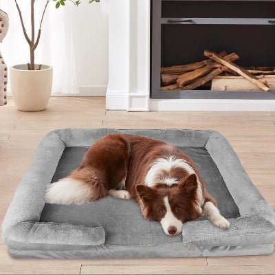 panier chien solstice gris chien roux coucher