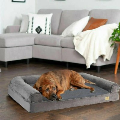 Panier chien - Titan - Vivre avec son chien