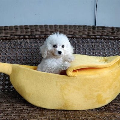 Panier pour chien - Panier chien - UltraConfort | Banane Cocoon - Vivre avec son chien
