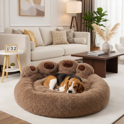 Panier pour chien - Panier pour chien - Cocon Patte | Koala - Vivre avec son chien