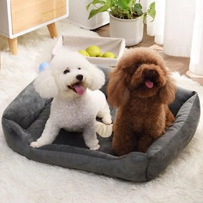 Panier pour chien - Panier pour chien - Confort Élégant | Cocoon - Vivre avec son chien