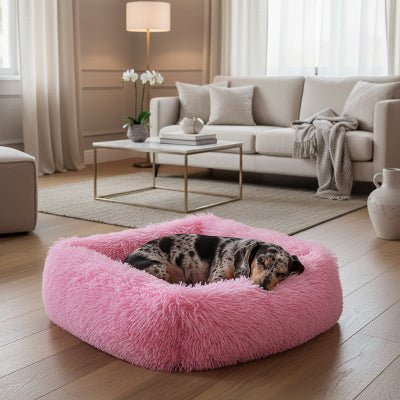 Panier pour chien - Panier pour chien - Confort Premium - Vivre avec son chien