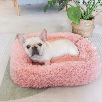 Panier pour chien - Panier pour chien - Confort Premium - Vivre avec son chien