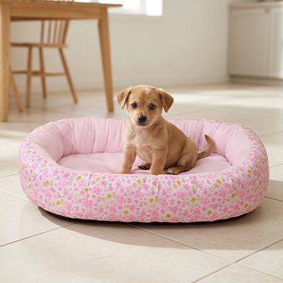 Panier pour chien - Panier pour Chien - Fleur Douce | Confort léger - Vivre avec son chien
