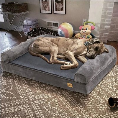 Panier pour chien - Nuage - Vivre avec son chien
