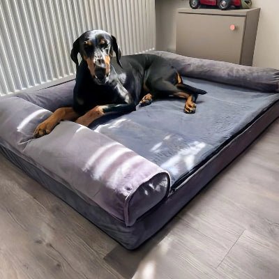 Panier pour chien - Nuage - Vivre avec son chien