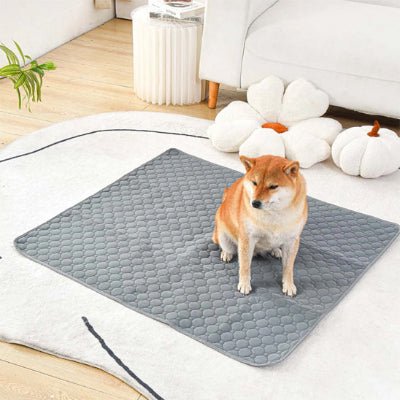tapis absorbant chien - Tapis absorbant chien - Nuage | Antidérapant et imperméable - Vivre avec son chien