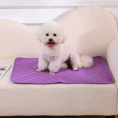 tapis absorbant chien - Tapis absorbant chien - Nuage | Antidérapant et imperméable - Vivre avec son chien