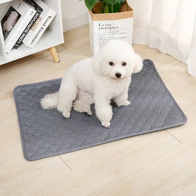 tapis absorbant chien - Tapis absorbant chien - Nuage | Antidérapant et imperméable - Vivre avec son chien