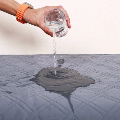 tapis absorbant chien - Tapis absorbant chien - Nuage | Antidérapant et imperméable - Vivre avec son chien