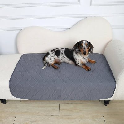 tapis absorbant chien - Tapis absorbant chien - Nuage | Antidérapant et imperméable - Vivre avec son chien