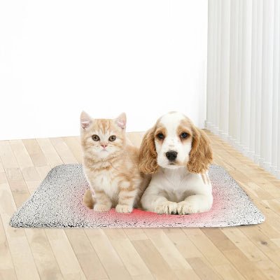 Tapis chien - Pelucheux - Vivre avec son chien