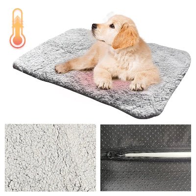 Tapis chien - Pelucheux - Vivre avec son chien
